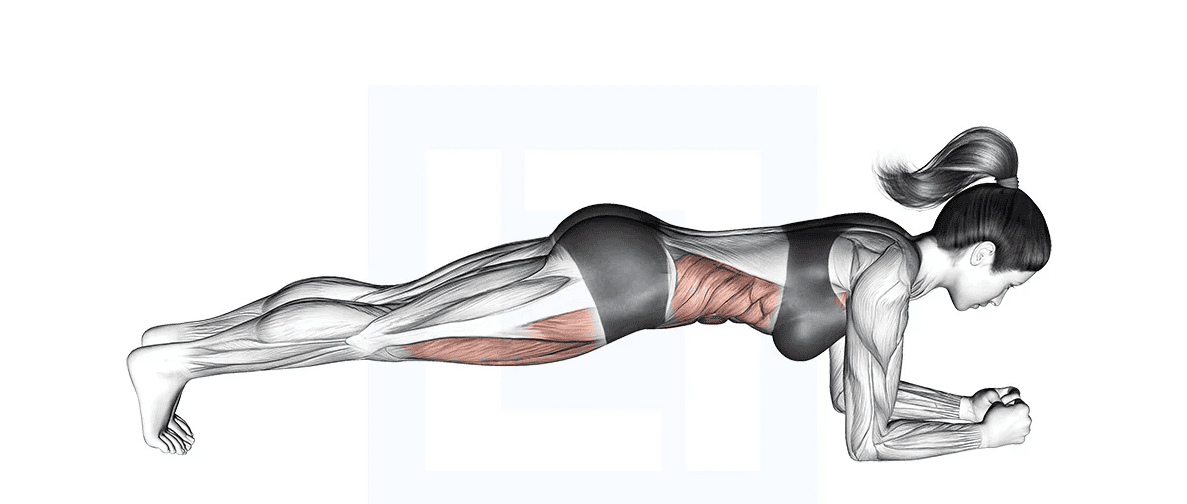 Latihan Otot Perut Plank